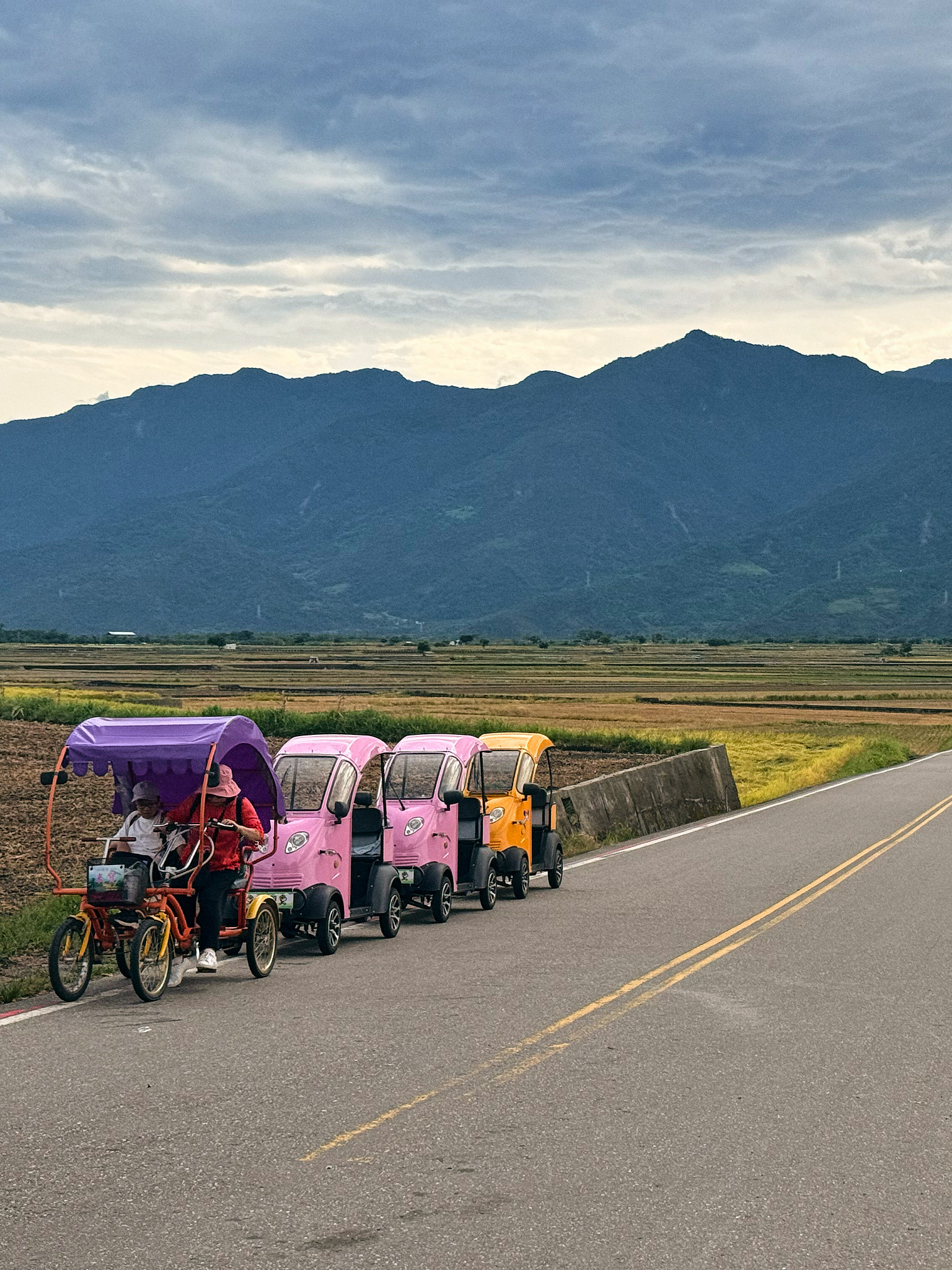 Colorful cars in a rice paddy in the East Rift Valley, Taiwan